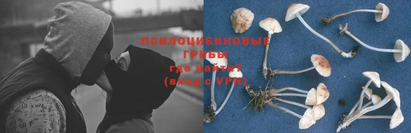 хмурый Алексин