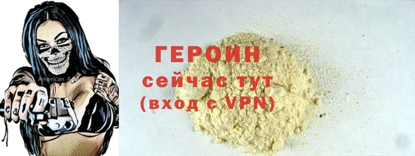 хмурый Алексин