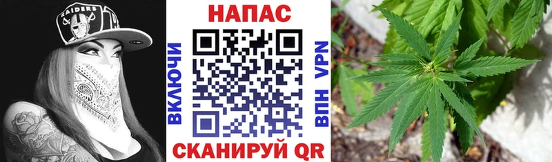 Бошки Шишки OG Kush  Куртамыш 